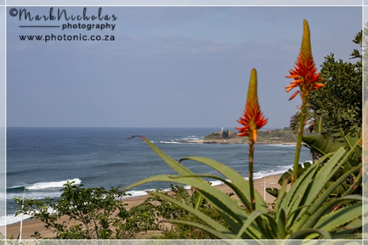 Photo from whale deck, Umtentweni by Mark Nicholas Photography