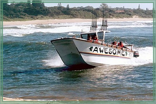 Awesome fishing charters at Shelly Beach