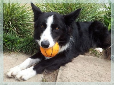 Ambleside Self-catering Apartments in Umtentweni, KZN South Coast